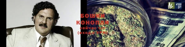 ECSTASY Покачи