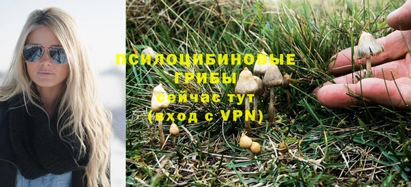 ПСИЛОЦИБИНОВЫЕ ГРИБЫ Покров