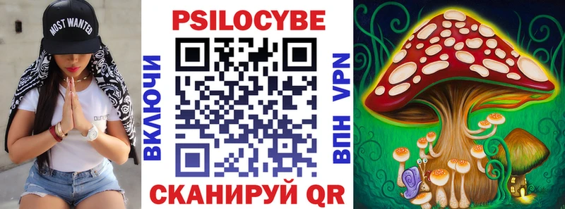 Галлюциногенные грибы MAGIC MUSHROOMS сколько стоит Катайск